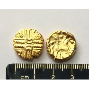 No 119 Whaddon Chase Gold Stater Image