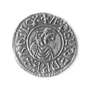 Saxon & Viking Coins Image