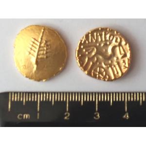 No 113 Anted Gold Stater Image
