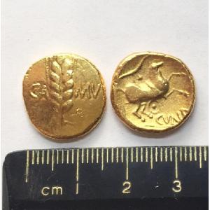 No 504 Cunobelin Corn Ear Gold Stater Image