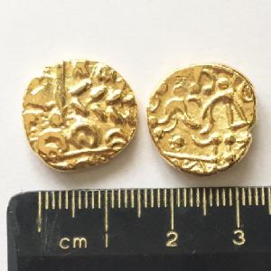No 621 North-East Coast Gold Stater Image
