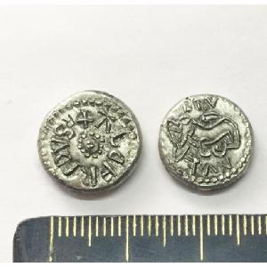 No 605 - Aldfrith sceat with beast reverse Image