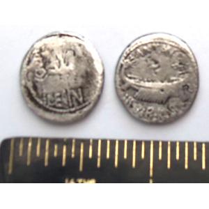 No 229 Roman Legionary Silver Denarius Image