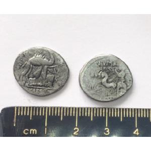 No 311 Roman Republic Denarius Image