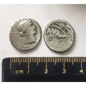 No 462 Roman Republican Denarius Image