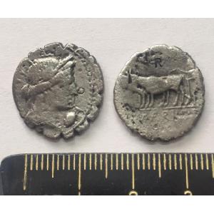 No 5 Roman Denarius of Marius Image