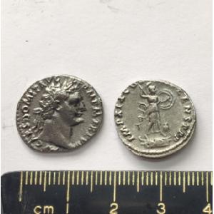 No 88 Roman Denarius of Domitian Image