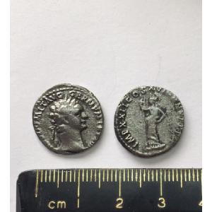 No 96 Roman Denarius of Domitian Image