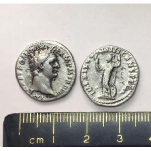 No 304 Roman Denarius of Domitian Image