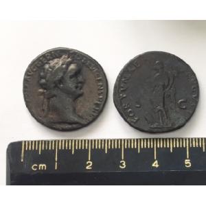 No 326 Roman As of Domitian Image