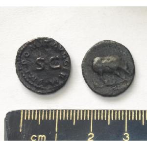 No 328 - Quadrans of Domitian Image