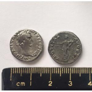 No 510 Roman Denarius of Nerva Image