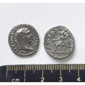 No 513 Roman Denarius of Nerva Image