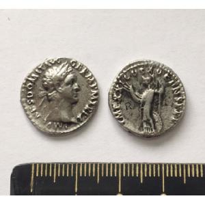 No 658 Roman Denarius of Domitian Image