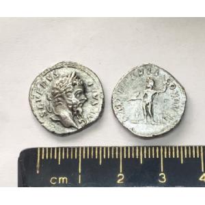 No 301 Roman Denarius of Septimus Severus Image