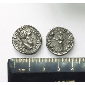 No 624 Roman Denarius of Pertinax Image