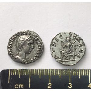 No 137 Roman Denarius of Otacillia Image