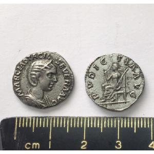 No 137 - Roman Denarius of Otacillia Image
