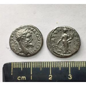 No 306 Roman Denarius of Septimus Severus Image