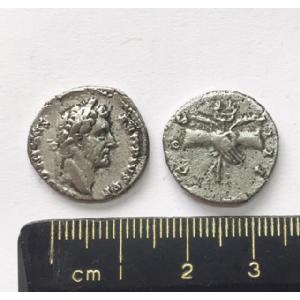 No 612 Roman Denarius of Antoninus Pius Image