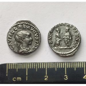 No 412 Roman Denarius of Plautilla Image