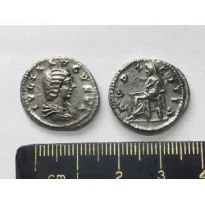 No 284 Roman Denarius of Julia Domna Image