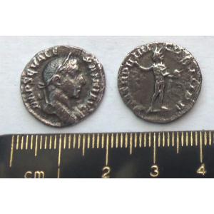 No 282 Roman Denarius of Severus Alexander Image
