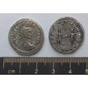 No 403 Roman Antoninianus of Probus Image