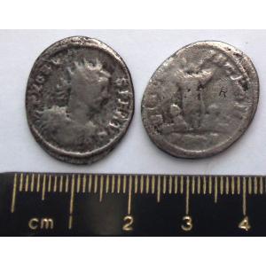 No 405 Roman Antoninianus of Probus Image