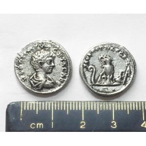 No 694 Roman Denarius of Geta Image