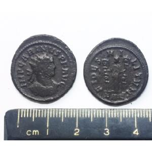 No 545 Antoninianus of Carinus Image