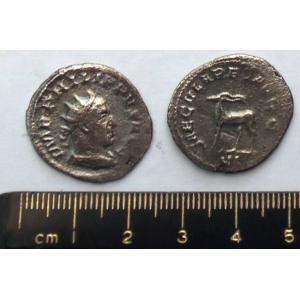 No 232 Roman Antoninianus of Phillip Image
