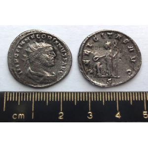 No 216 Roman Antoninianus of Florianus Image