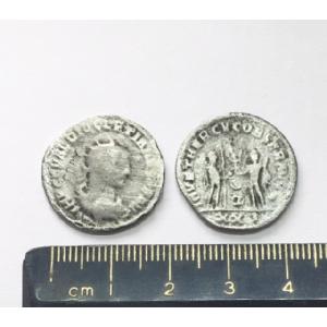 No 310 Roman Antoninianus of Diocletian Image